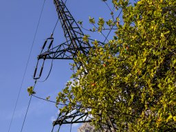 Fotowalk Pfarrwerfen - Bahnhof Werfen